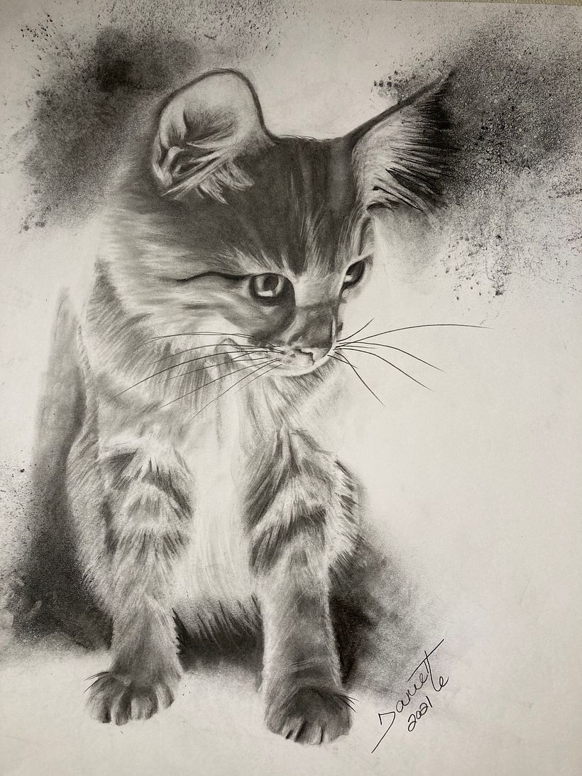 My drawing: charcoal on Bristol paper 14 in x 17 in