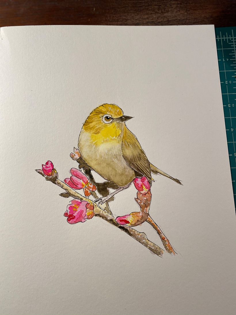 2nd attempt