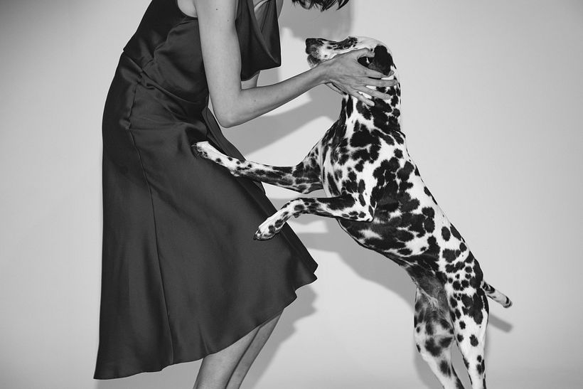 We had two dalmatians on set! their names were Kipper and Dare.