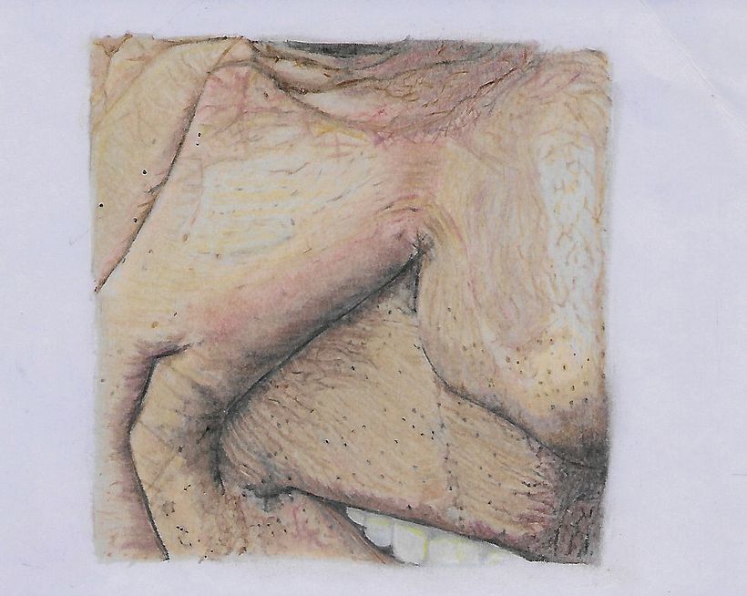 Ejercicio las partes del rostro "Retrato realista con lápices de colores". 2