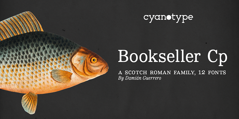 Bookseller Cp - Typography