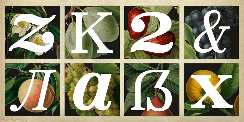 Bookseller Bk 13