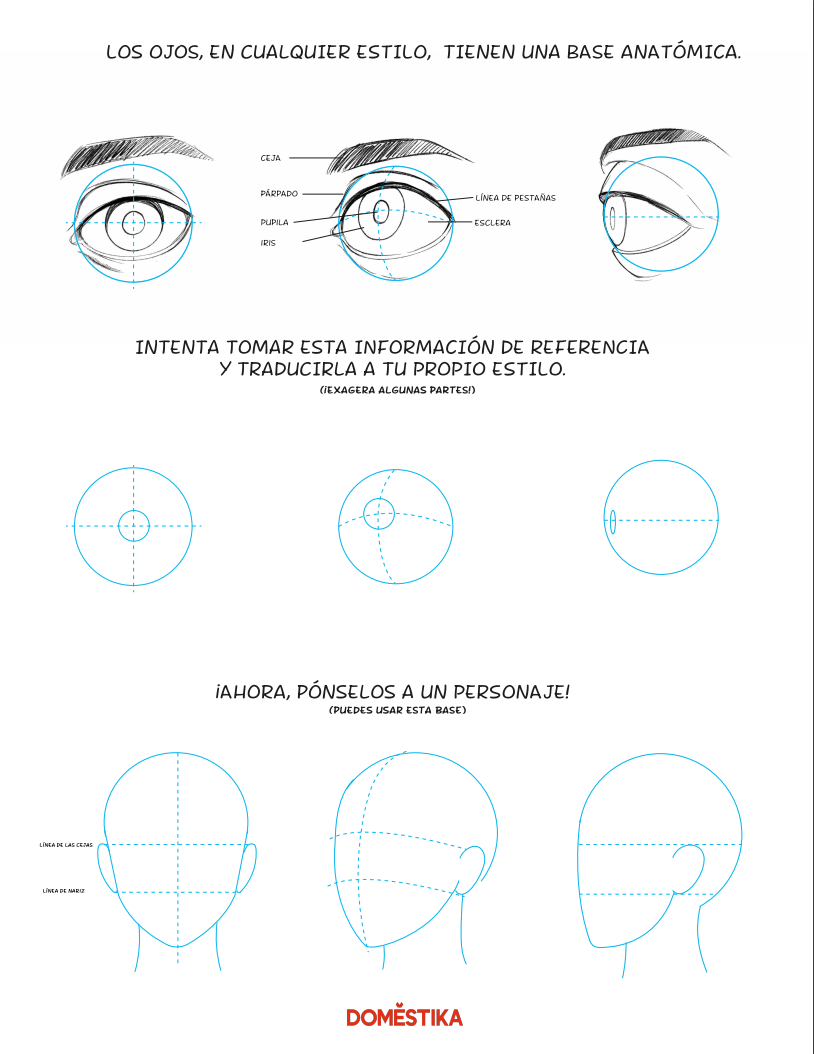 En la descarga podrás practicar con una base anatómica con referencias.