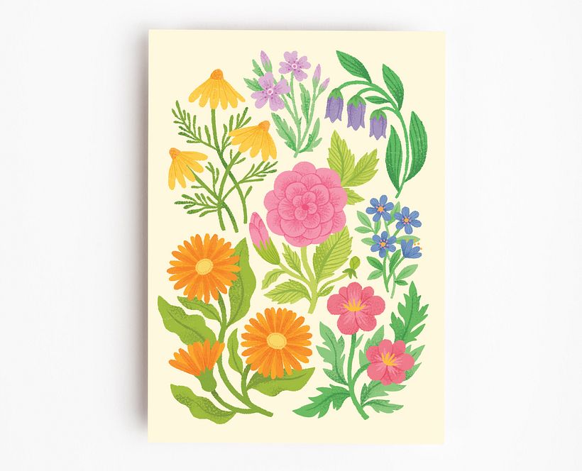 Causebox Spring Box 5