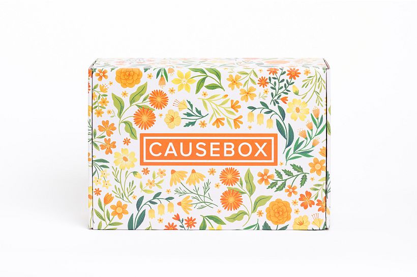 Causebox Spring Welcome Box 1