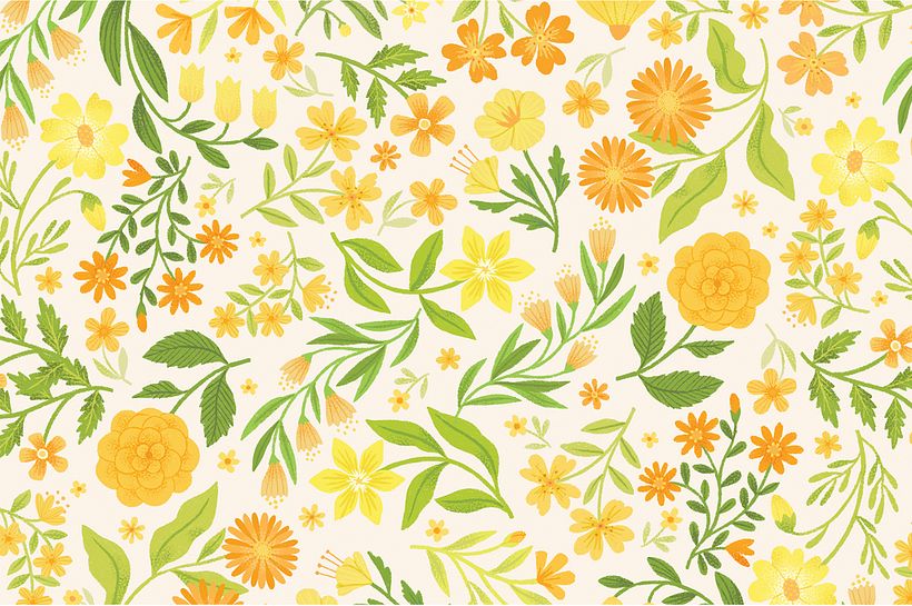 Causebox Spring Welcome Box 2