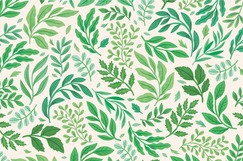 Causebox Spring Welcome Box 3