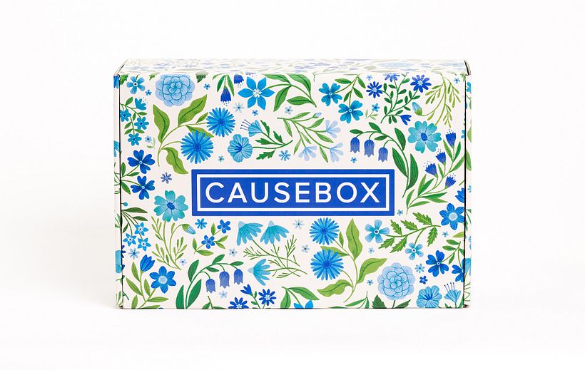 Causebox Spring Welcome Box 6