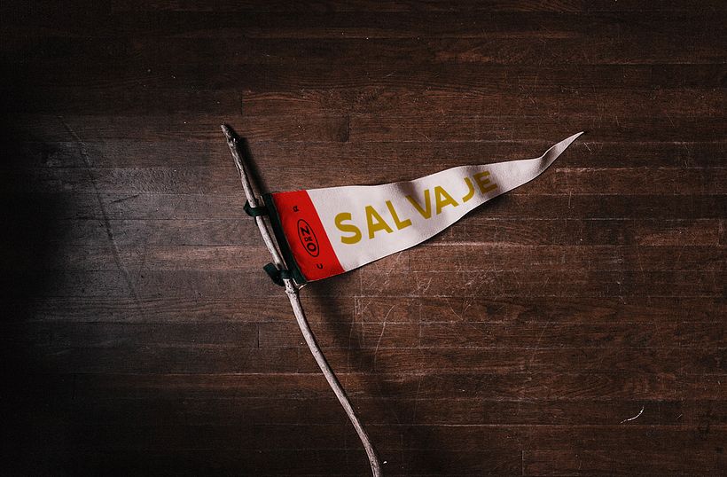 Nido de Oropéndola 0