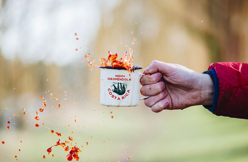 Nido de Oropéndola 1