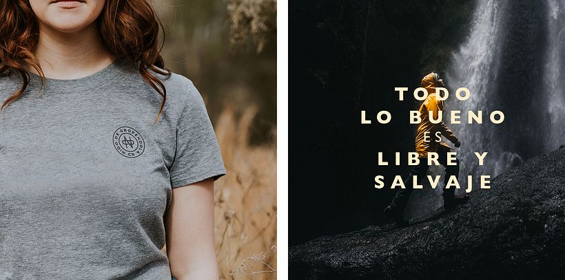 Nido de Oropéndola 2