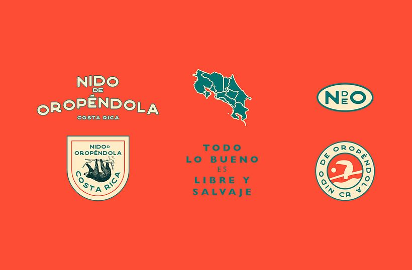 Nido de Oropéndola 3