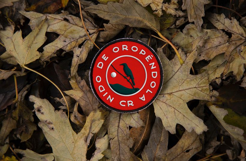 Nido de Oropéndola 4