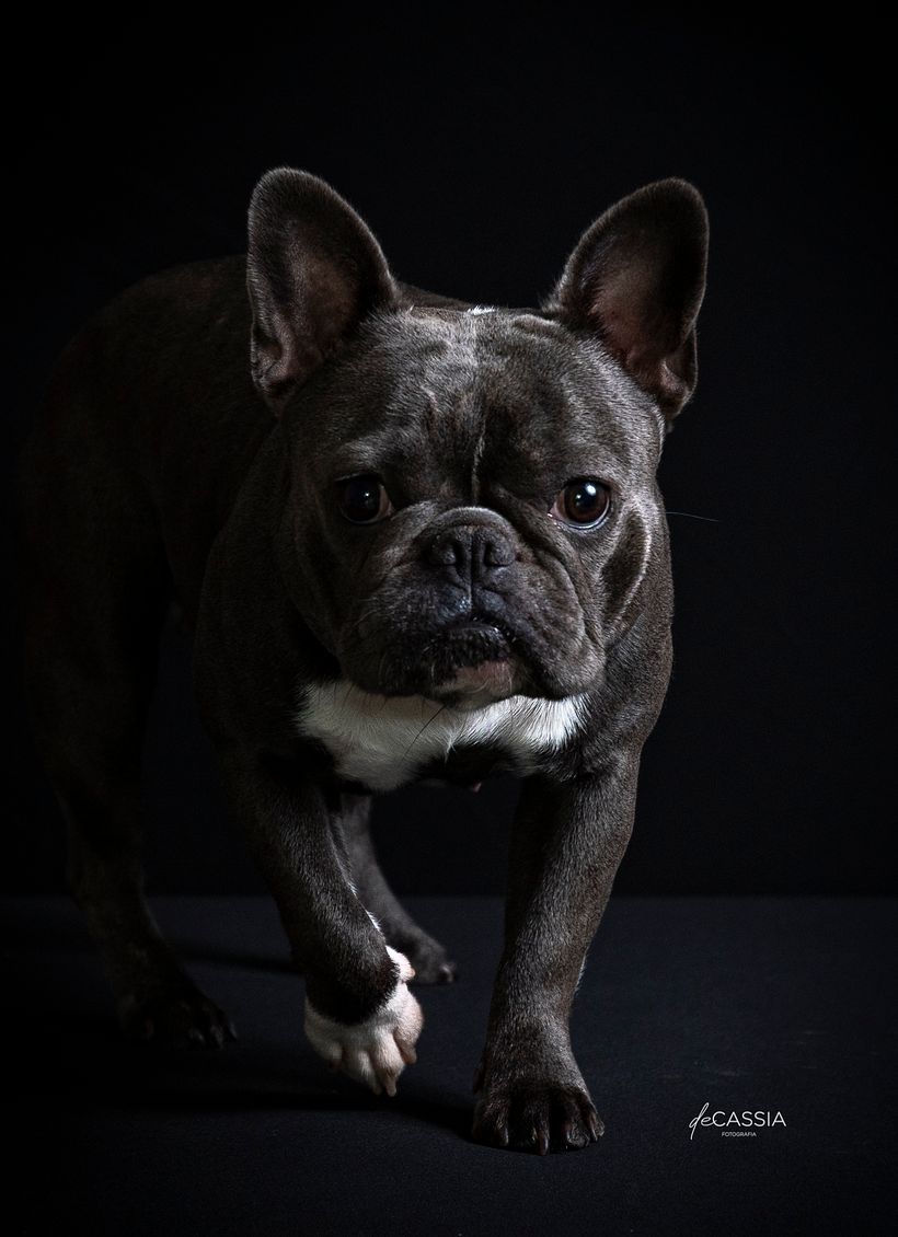 Fotos Projeto final - Fotos Nia 0