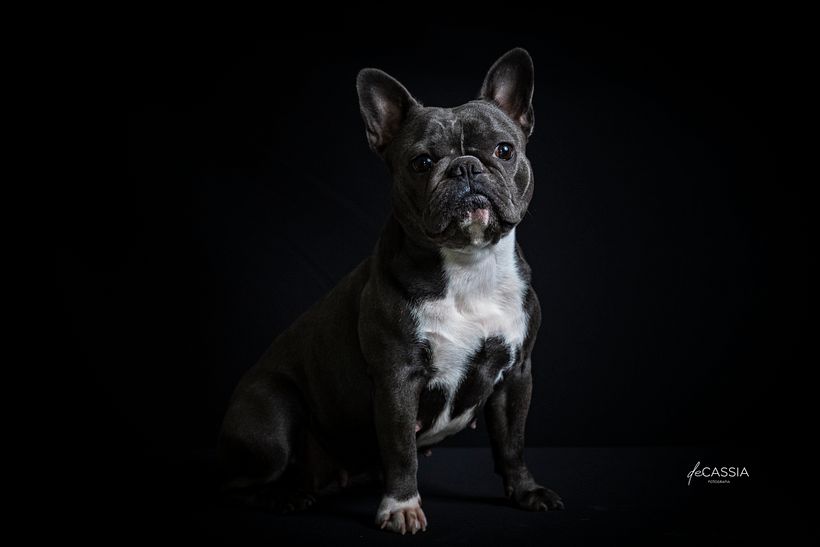 Fotos Projeto final - Fotos Nia 1