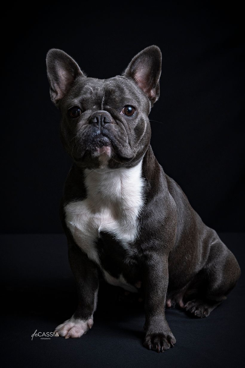 Fotos Projeto final - Fotos Nia 2