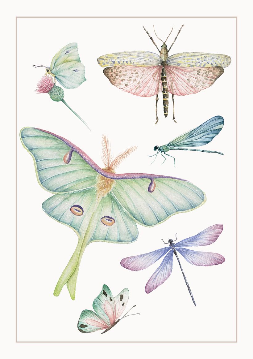 INSECTOS 2