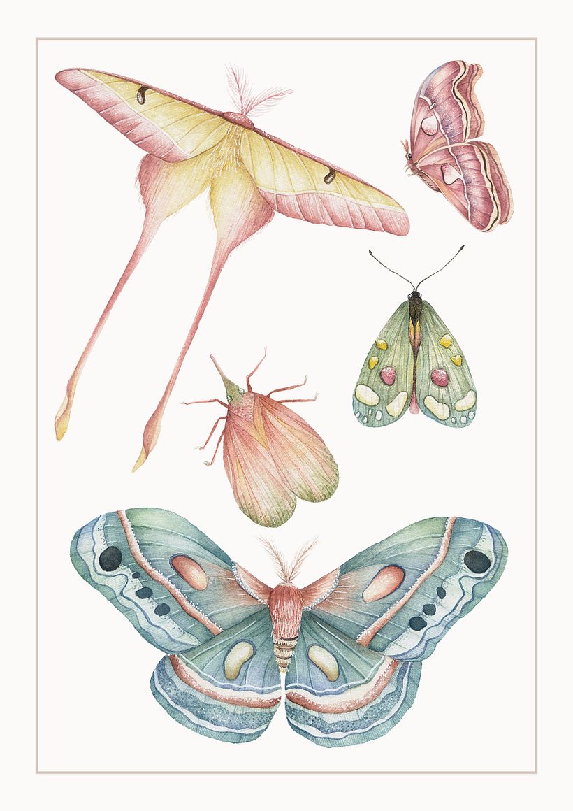INSECTOS 3