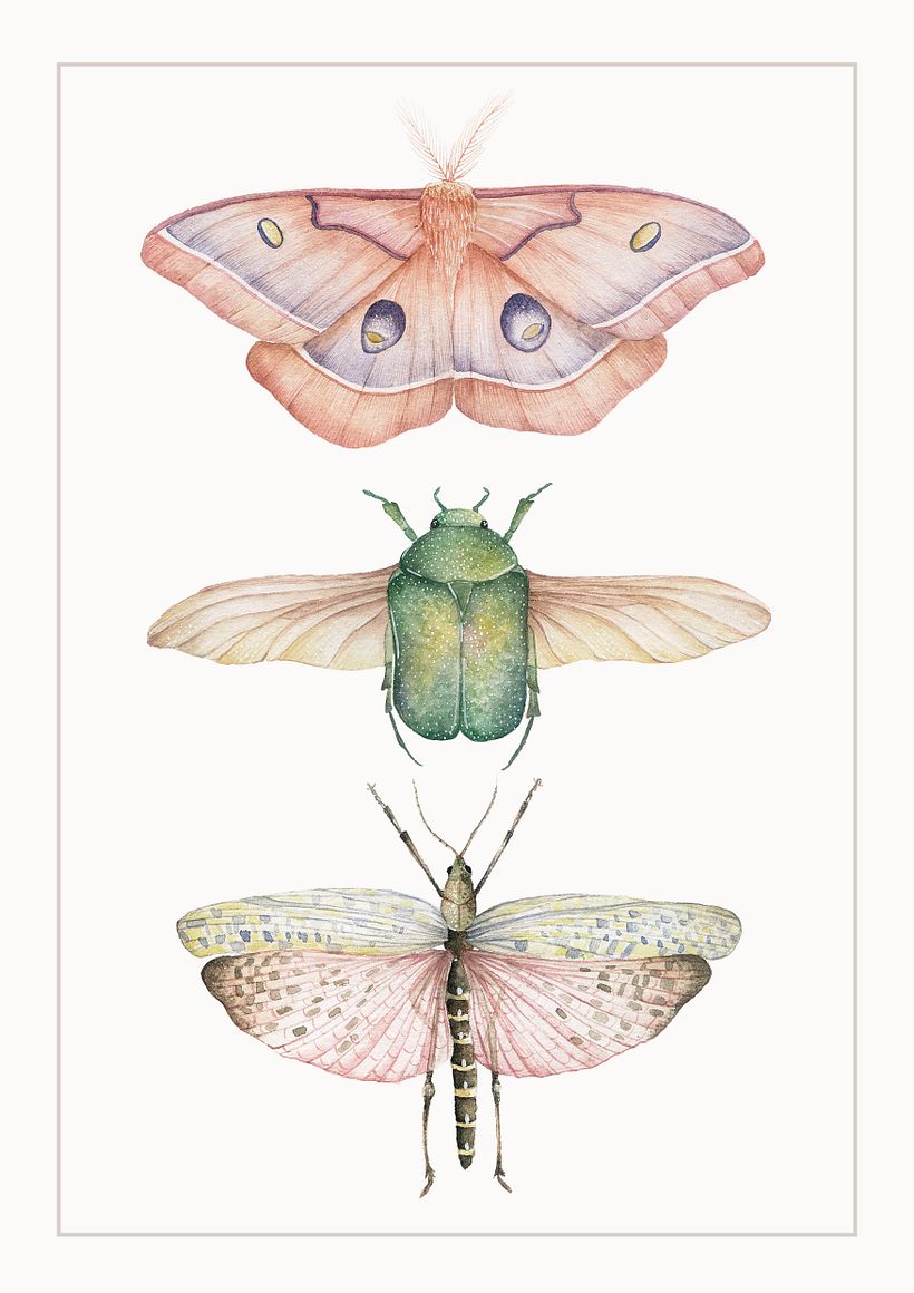 INSECTOS 4