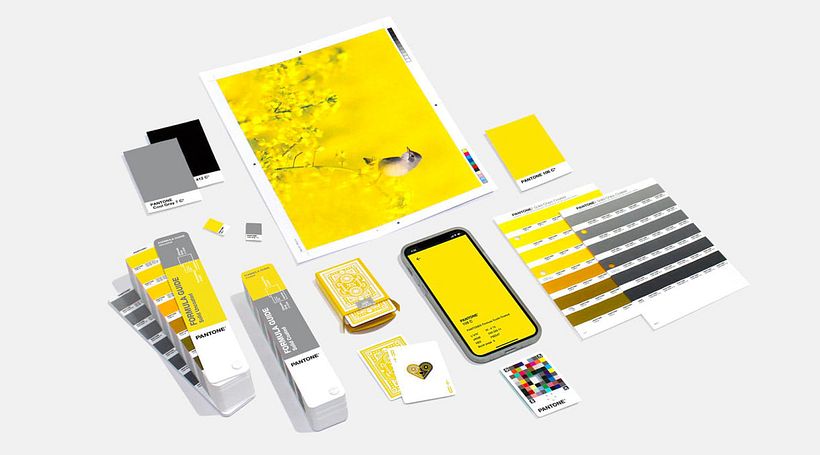 Para este año, Pantone ha apostado por dos colores: PANTONE 17-5104 Ultimate Gray y PANTONE 13-0647 Illuminating.