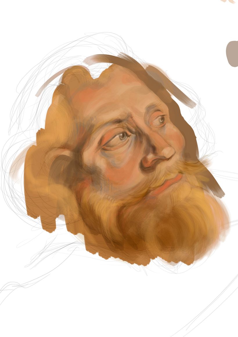 Rubens' Heads Digital Studies -1