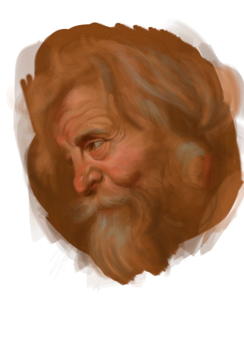 Rubens' Heads Digital Studies 0