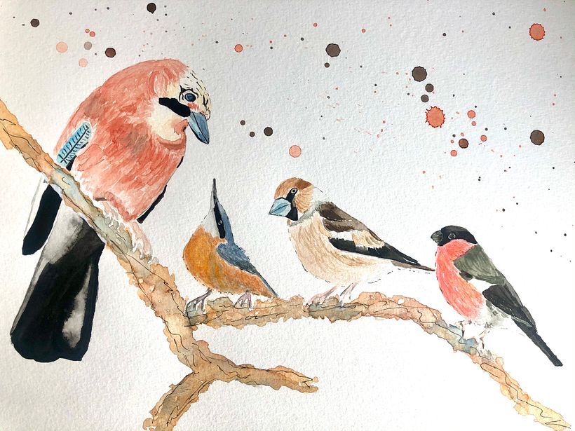 My project in Artistic Watercolor Techniques for Illustrating Birds course 0
