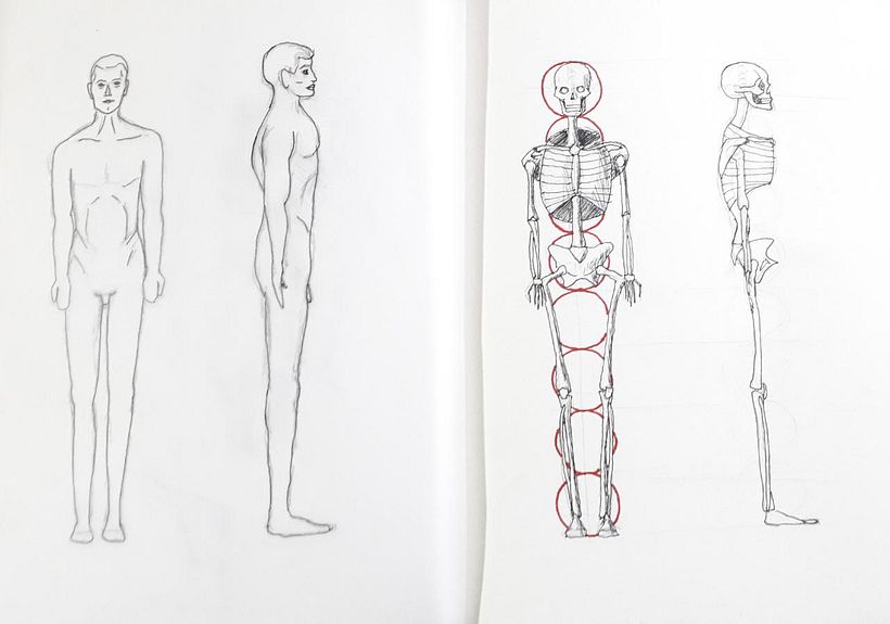 Mi Proyecto del curso: Dibujo anatómico para principiantes -1