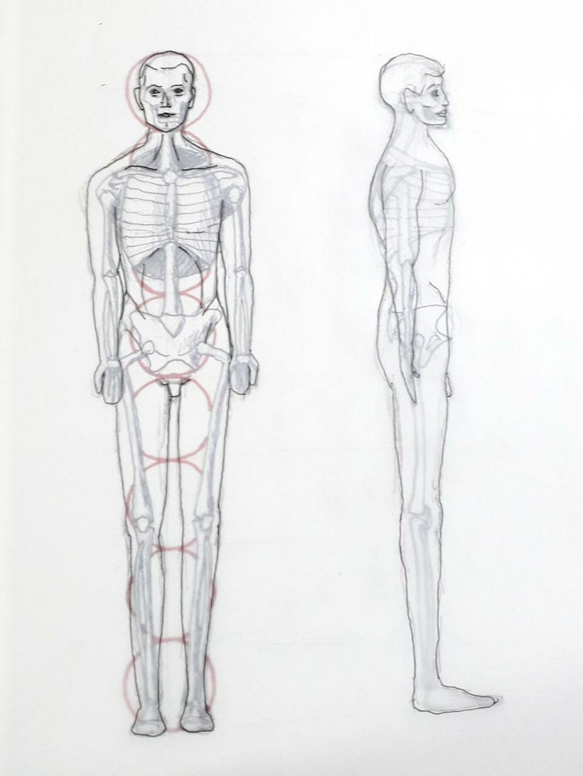 Mi Proyecto del curso: Dibujo anatómico para principiantes 0