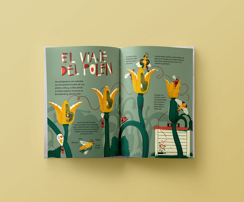 Mi Proyecto del curso: Ilustración informativa: despierta la curiosidad 0