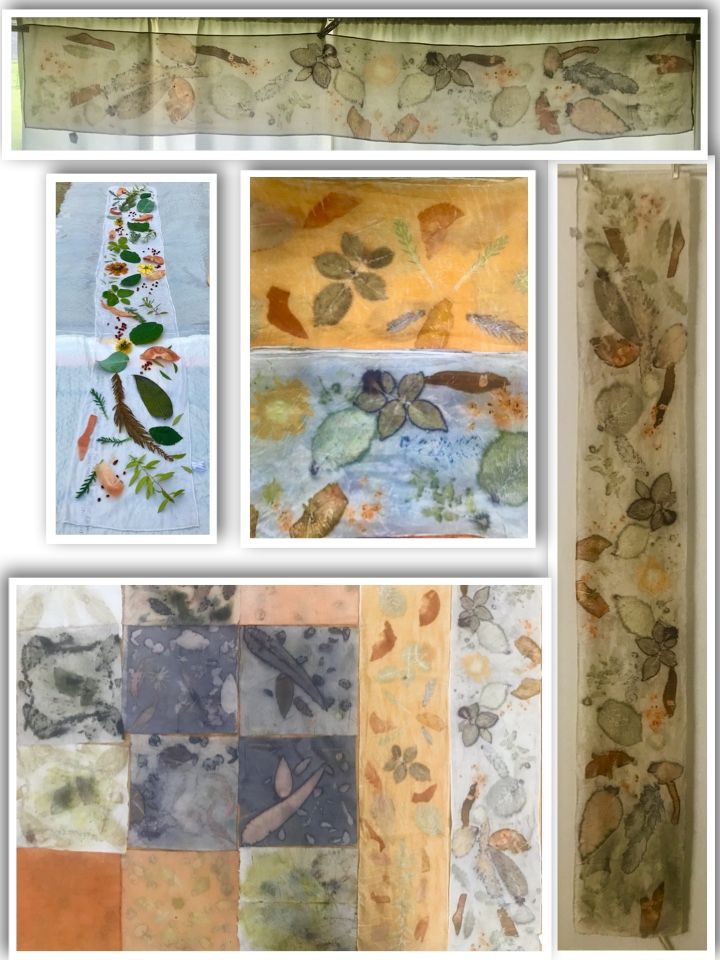Bufandas de seda en Impresión botánica en textil y papel 6