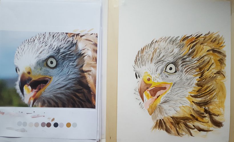 Avanzando en el proceso