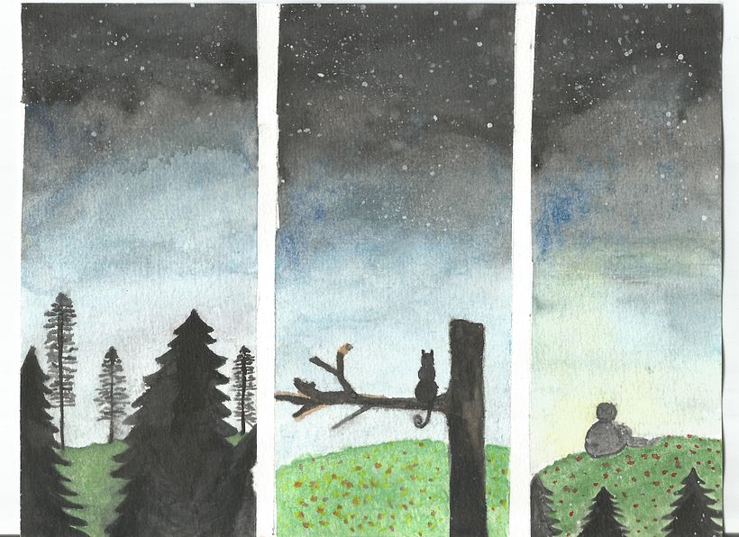 3 nocturnes, (3 nocturnal). November 2020