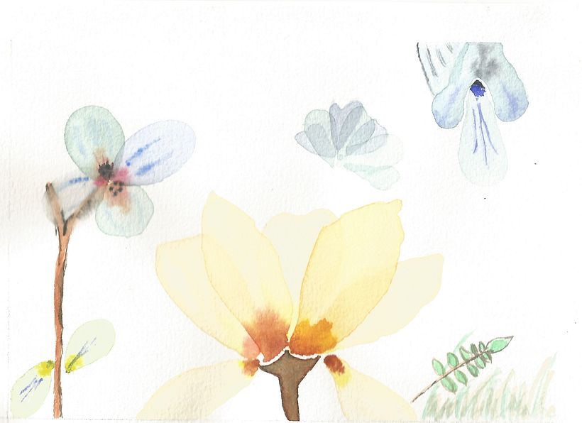 Flors (Flowers). January 2020