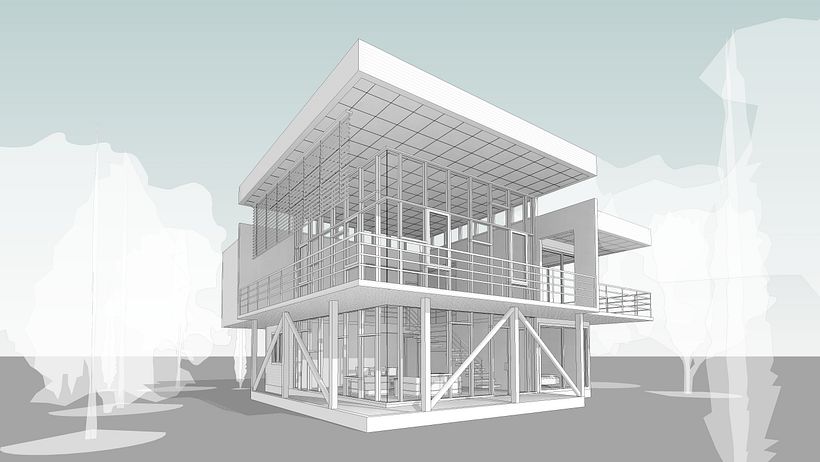 Perspectiva Peatonal