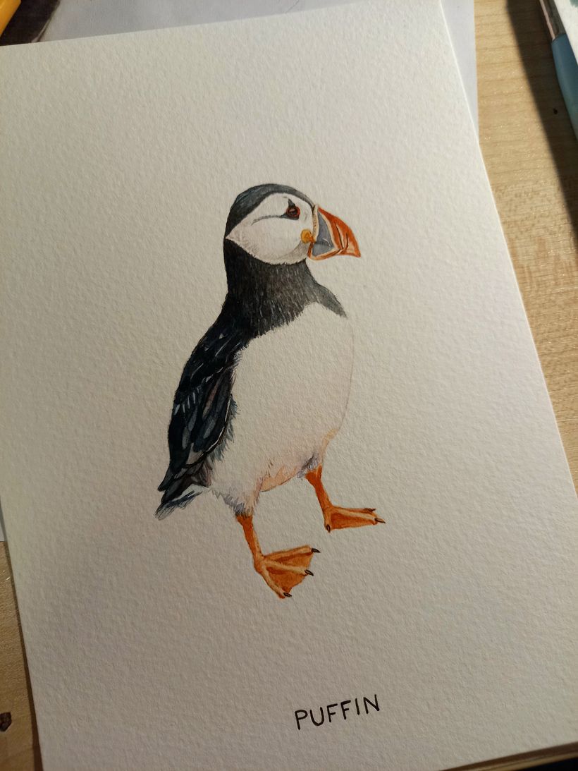 Naturalist Bird Illustration puffin A5 0
