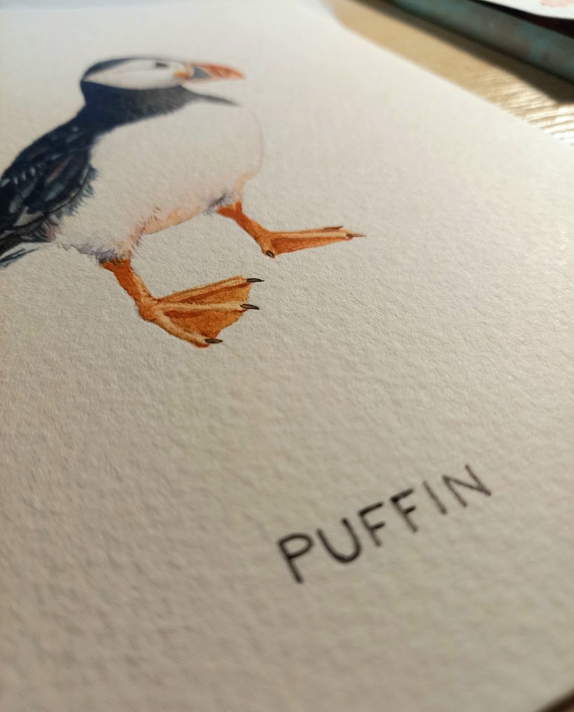 Naturalist Bird Illustration puffin A5 0