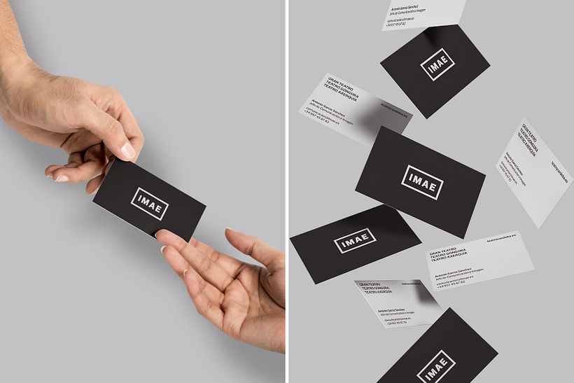 IMAE · Instituto Municipal de Artes Escénicas 5