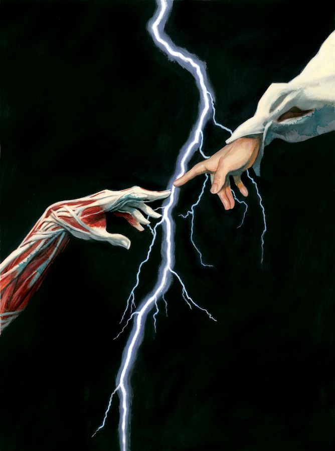 Frankenstein de Mary Shelley (Libro ilustrado con bocetos anexos) 2