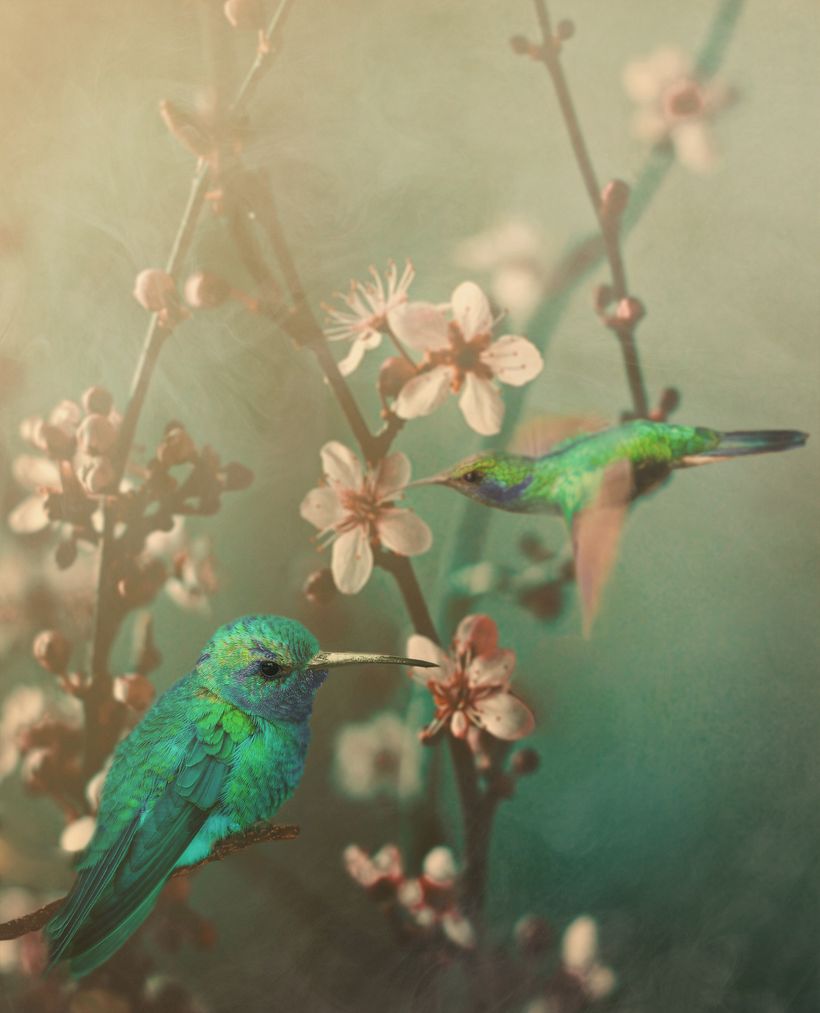 Oda a la naturaleza (muestra) 0