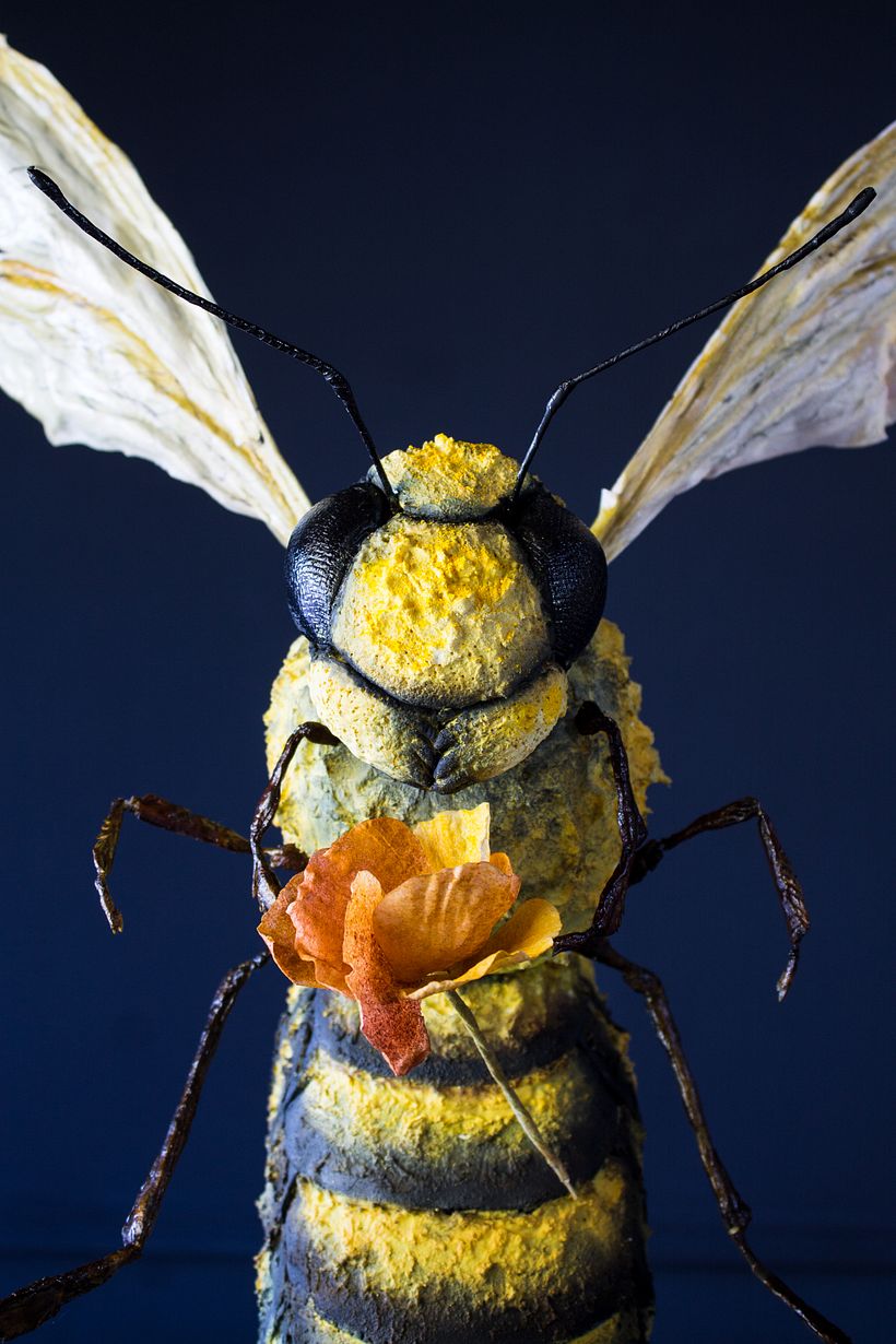 Tarta tallada con estructura interna Queen Bee 0