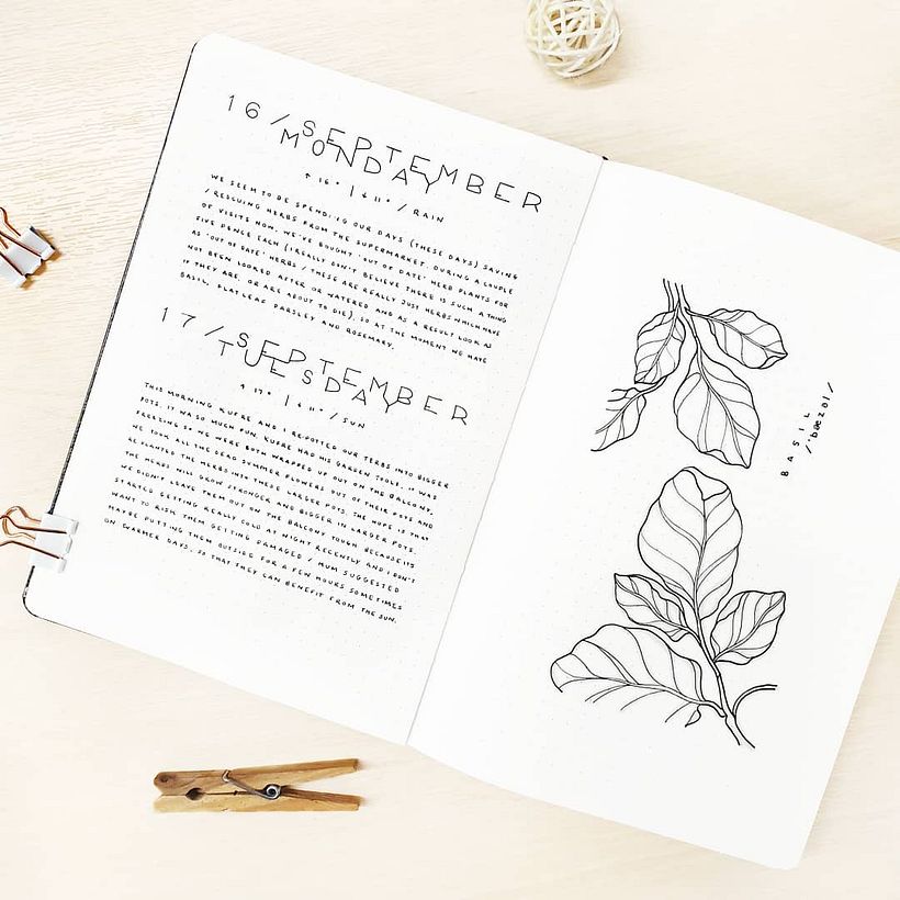 2019 Bullet Journal 4