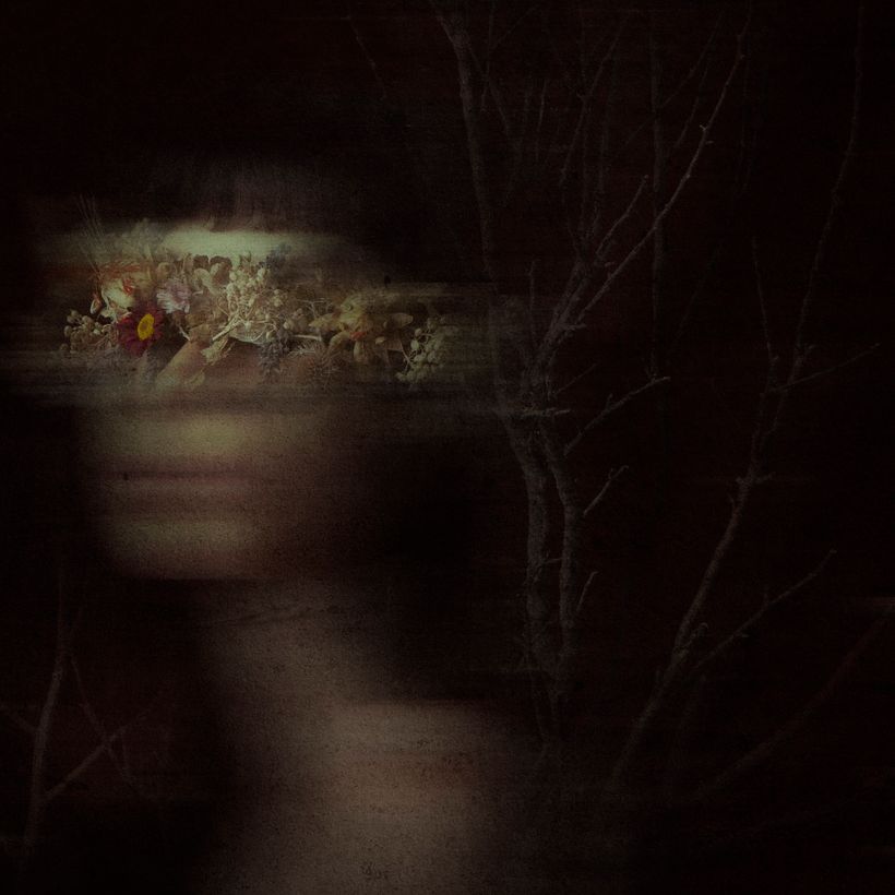 Spring growing in my mind 3