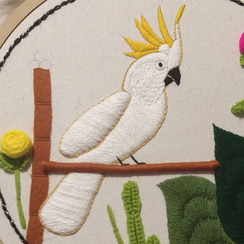 Cacatua 