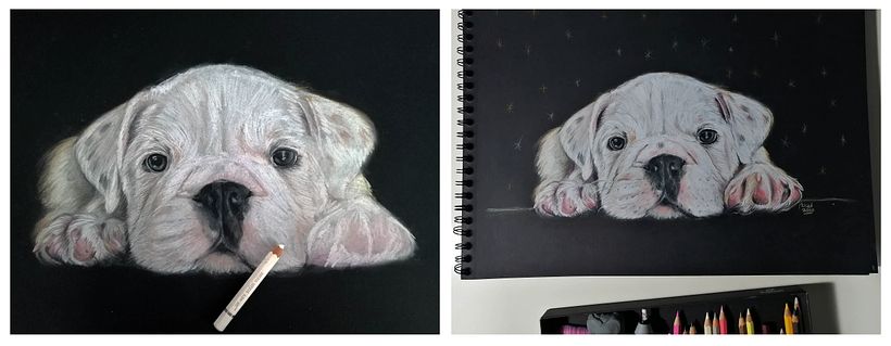  Proyecto: Ilustración con pastel y lápices de colores - Alex 4