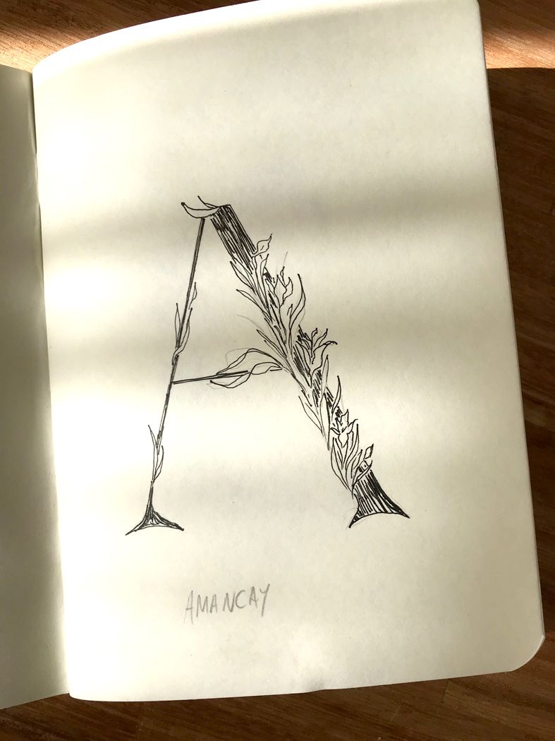 Abecedario Flores de la Patagonia 3