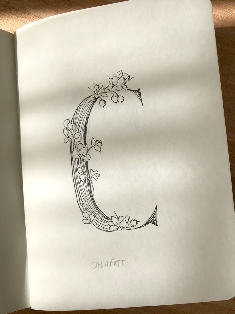 Abecedario Flores de la Patagonia 4