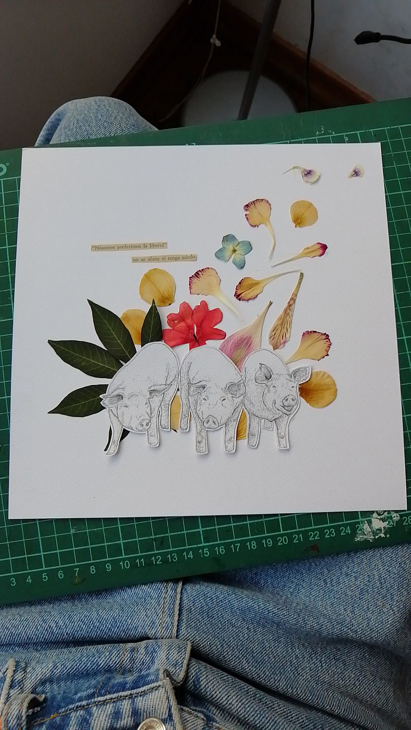 Proyecto final  2
