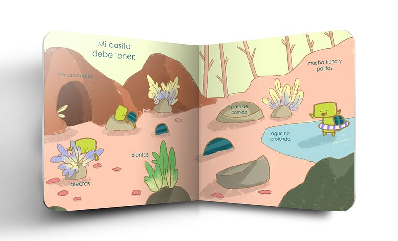Mi primer Tortuguin / Cómo cuidar a Porotin 4
