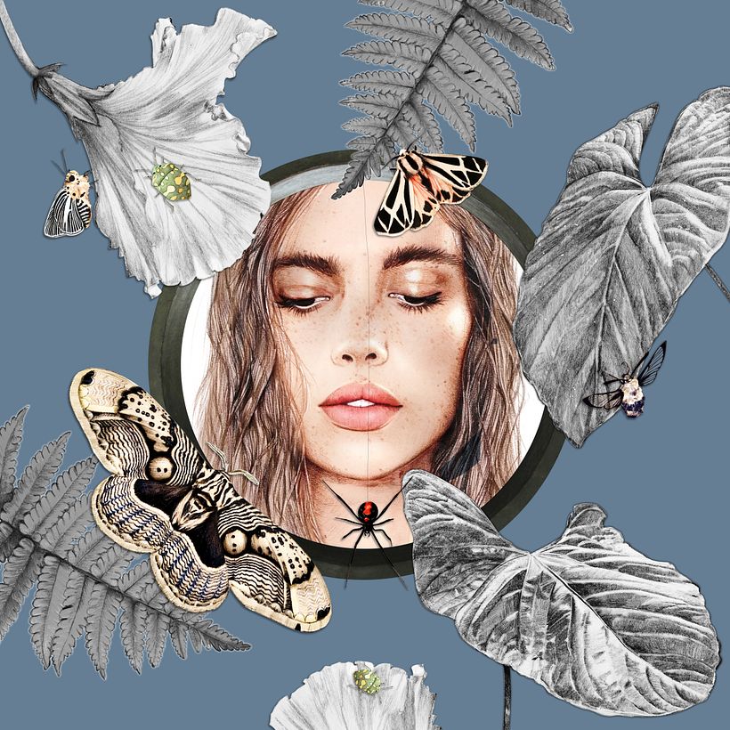 Ilustração de Amy Pearson